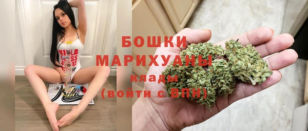 гидра Белокуриха