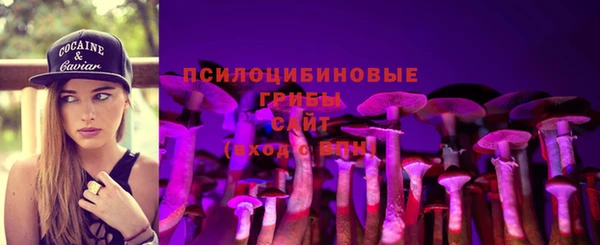 гидра Белокуриха
