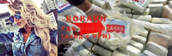 гидра Белокуриха